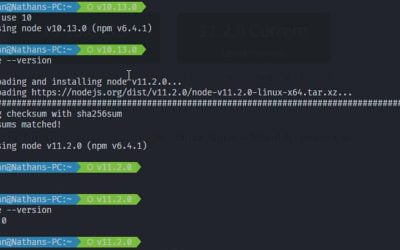 How to setup NodeJS NVM on WSL