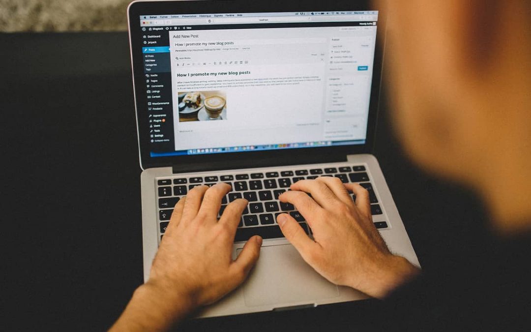 How Often Should You Update Your WordPress Website?